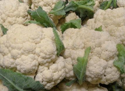 买花菜 “散花”和“紧花”区别很大 教你怎样挑选 别再买错了【爱游戏(ayx)中国官方网站】(图2)
买花菜 “散花”和“紧花”区别很大 教你怎样挑选 别再买错了【爱游戏(ayx)中国官方网站】(图2)