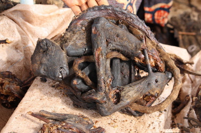 爱游戏（ayx）中国官方网站